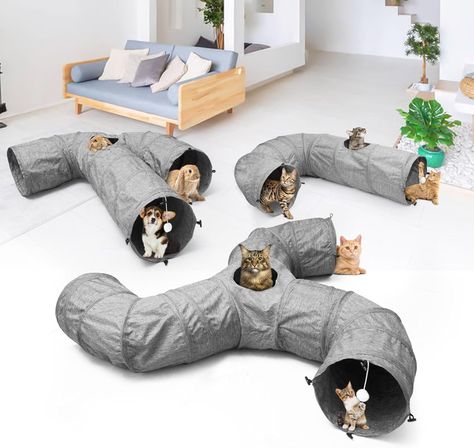 Ms.Dou Large Cat Tunnel, J Cat Play Tunnel for Indoor Cats,Large Cat Tunnel Toy with Cat Teaser & Spring, Collapsible Tunnel Tube, 11.81 inches Diameter, Grey : Amazon.ca: Pet Supplies Feral Kittens, Play Tunnel, Animal Supplies, Kitten Toys, Cat Tunnel, Indoor Cats, Small Animal Supplies, Catnip Toys, Large Cats