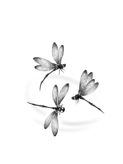 Dragonfly In Flight Tattoo, Dragonfly Vine Tattoo, 3 Dragonflies Tattoo, Three Dragonflies Tattoo, Multiple Dragonfly Tattoo, Side View Dragonfly Tattoo, Detailed Dragonfly Tattoo, 3 Dragonfly Tattoo, Dragonfly Tattoo With Flowers