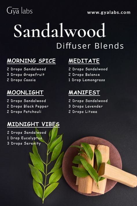 Sandalwood Diffuser - Natural and Eco-Friendly Aromatherapy for a Serene Home Ambiance. Sandalwood Diffuser Blend, Sandalwood Diffuser Blends, Sandalwood Essential Oil Blends, Sandalwood Blends, Oils For Diffuser, Essential Oil For Hair, Scent Blends, Essential Oil Perfumes Recipes, Cosmetic Ingredients