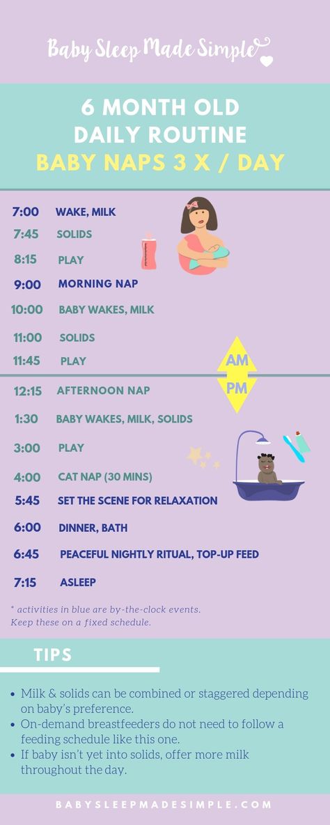 Expert tips on how to sleep train your 6 month old baby, and the steps that will get your baby sleeping through the night. Includes samples of daily feeding, activity and sleep schedules and solutions to common problems, like the 6 month sleep regression. #babysleepmadesimple #sleeptraining #sleepschedule #dailyschedule #feedingschedule #6monthold #6montholdbaby #sleepthroughthenight #dailyschedule #dailyroutine #6monthsleepregression #baby #children #parents 6 Month Sleep Regression, Baby Routines, Baby Food Schedule, Developmental Activities, Baby Routine, Baby Feeding Schedule, Baby Schedule, Baby Sleep Schedule, Baby Life Hacks