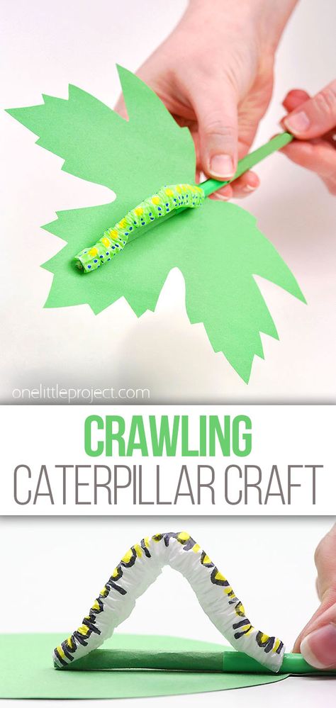 Photo of caterpillar on a leaf craft Worm Crafts, Caterpillar Art, Caterpillar Craft, Straw Crafts, Insect Crafts, Construction Paper Crafts, Bug Crafts, Bug Art, Summer Crafts For Kids