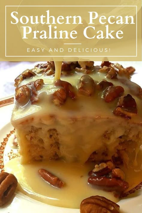 Southern Pecan Praline Cake Recipe, Praline And Cream Cake, Pralines Cake Recipe, Pecan Pralines Cake Recipe, Parlin Pecan Cake, Pralines And Cream Cake, Southern Pecan Carmel Cake, Cakes With Pecans, Pecan Praline Bundt Cake