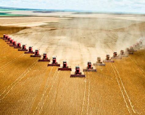 Amazing Picture..24 Combines Harvesting Crop At Same Time...Cool! God Made A Farmer, Farming Life, Combine Harvester, Farm Field, Life On The Farm, Farm Machinery, International Harvester, A Farmer, Harvest Time