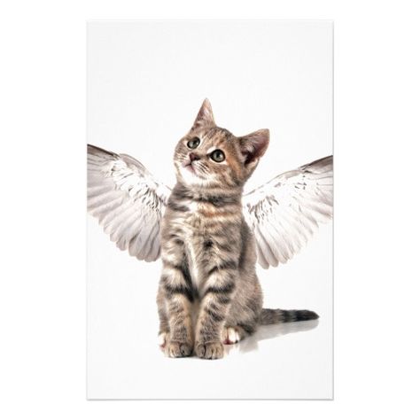 Awwwww kitty Angel stationary so cute! Angel Kitten, Cat With Wings, Gato Angel, Angel Cat, Cute Kittens, Pet Loss, Cat Drawing, Beautiful Cats, Kittens Cutest