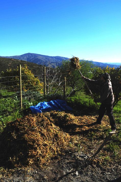 Good guide on composting Permaculture Composting, Geoff Lawton, Building A Compost Pile, Making Compost, Charles Dowding Compost, Making A Compost Pile, Compost Soil, How To Make Compost, Grow Plants