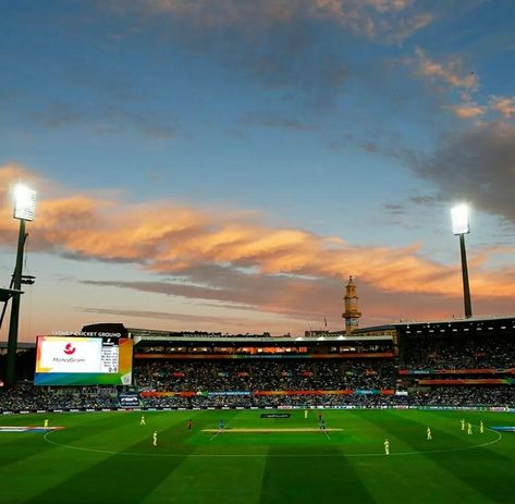 Sydney Cricket Ground Matches Aesthetic, Sydney Cricket Ground, Aesthetic Views, Melbourne Cricket Ground, Cricket Poster, Cricket Ground, Color Wallpaper Iphone, Mobile Photo Editing, Color Wallpaper