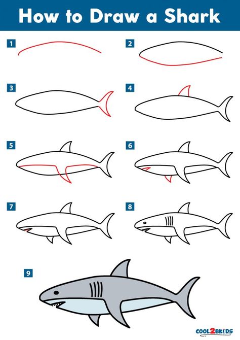 How To Draw A Narwhal, How To Draw A Shark Easy, How To Draw A Fish Step By Step, How To Draw Sea Animals, Shark Drawing Step By Step, Fish Drawings Easy, Shark Drawing Simple, How To Draw A Shark, How To Draw Sea Creatures