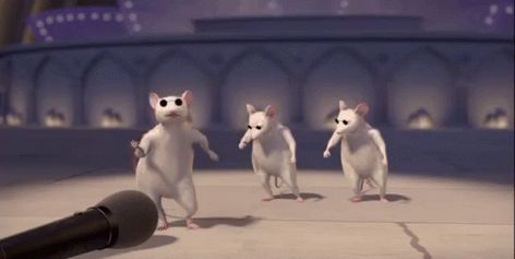 Blind Mice Jamming GIF - BlindMice 3BlindMice ThreeBlindMice - Discover & Share GIFs Three Blind Mice, Hidden In Plain Sight, Shrek, Mice, Rats, Animated Gif, Cool Gifs, Party Themes, Blinds