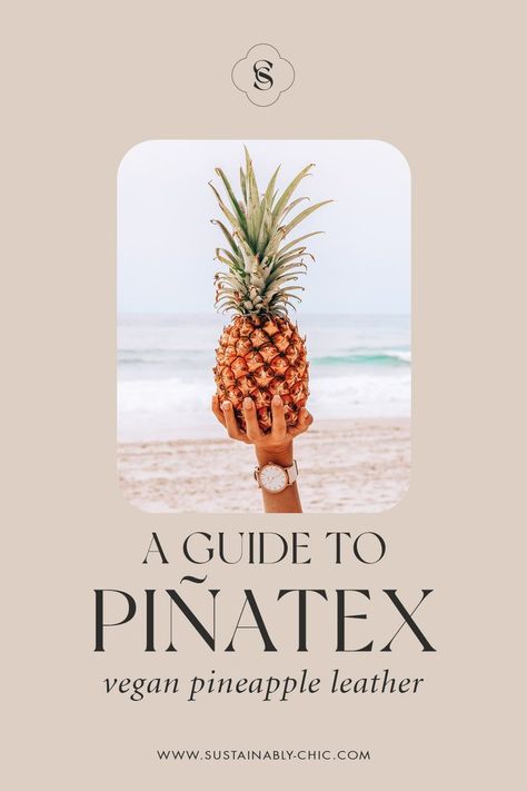 Is Piñatex a Sustainable Leather Alternative? — Sustainably Chic Animal Slaughter, Pineapple Leather, Pineapple Planting, Sustainable Brands, Leather Industry, Sustainable Leather, Sustainable Brand, Branded Handbags, Bags Shoes