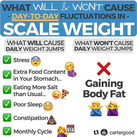 ✅I love this infographic my friend Carter (@cartergood) made about scale weight fluctuations  Whenever you feel confused about the weight on the scale ⏩ Have a look at this infographic! . Be sure to check out Carter for amazing infographics on fitness & nutrition  #Repost @cartergood (@get_repost) ・・・ There's a lot of back and forth on whether body weight is a good indicator of weight loss progress... - Here's what I think ‍♂️: When the scale is used correctly—to analyze long-term upward & downw Weight Fluctuation, Weight Goals, Health And Physical Education, Weight Watchers Free, Healthy Quotes, Health Coaching, Health And Fitness Tips, Train Hard, Fitness Nutrition