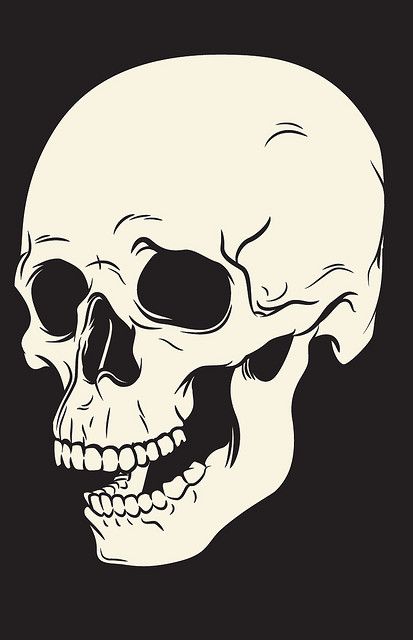 Skull Illustration by James P. Barry  http://www.creativeboysclub.com/wall/creative Pop Art Vintage, Skull Illustration, Skeleton Art, Leather Cuts, Arte Inspo, The Skull, Skull And Bones, Skull Art, Art Vintage