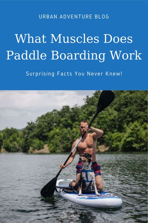 Paddle Board Workout, Paddle Boarding Workout, Paddle Boarding Quotes, Paddle Boarding Outfit, Painted Paddles, Sup Paddle Board, Standup Paddle Board, Sup Paddle, Surf Life