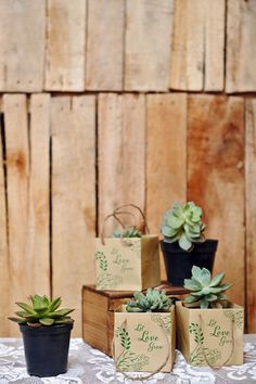 Succulent Packaging, Plant Packaging Ideas, Gift Decor Ideas, Cute Succulent Pots, Plant Packaging, Eco Friendly Wedding Favors, Kaktus Dan Sukulen, Let Love Grow, Succulent Gift