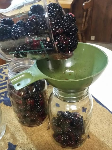 Canning Blackberries in Blackberry Sauce for Cobblers, Sonkers and Dumplings – Preserving the Good Life Canning Blackberries, Blackberry Dumplings, Homestead Canning, Blackberry Sauce, Pressure Canning Recipes, Canning Kitchen, Preserving Foods, Canning Fruit, Canning Pickles