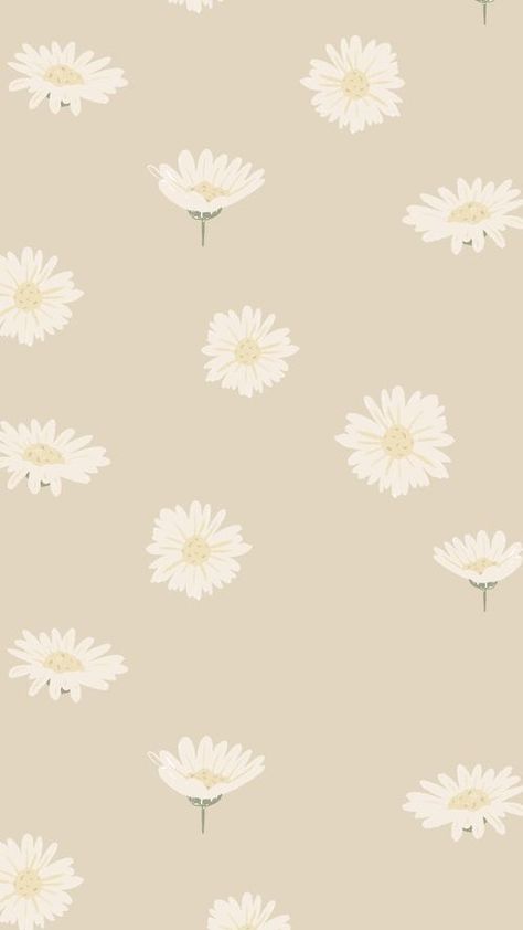 Daisy Iphone Wallpaper, Daisy Wallpaper Iphone, Cute Daisy Wallpaper, Daisy Phone Wallpaper, Aesthetic Daisy, Daisy Drawing, Cute Home Screen Wallpaper, Cute Home Screens, Daisy Wallpaper