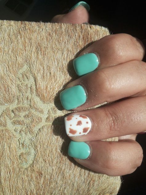 Spring acrylic nails 2022 turquoise and cow print Turquoise Gel Nails Short, Cow Print Toe Nails, Western Toe Nail Designs, Cowhide Nails, Nail Simple Art, Cowgirl Manicure, Cowprint Nail Design Short, Short Turquoise Nails, Coastal Cowgirl Nails