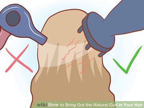 Image titled Bring Out the Natural Curl in Your Hair Step 14 Frizzy Curly Hair, Step By Step Hairstyles, Frizzy Hair, Natural Curls, Many People, The Natural, Hair Care, Bring It On, Hair