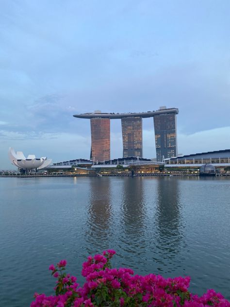 Marina Bay Sands aesthetic, pink flower aesthetic, bougainvillea flower aesthtic Marina Bay Sands Aesthetic, Sands Aesthetic, Pink Flower Aesthetic, Singapore Aesthetic, Bougainvillea Flower, Aesthetic Pink, Bougainvillea, Aesthetic Backgrounds, Marina Bay