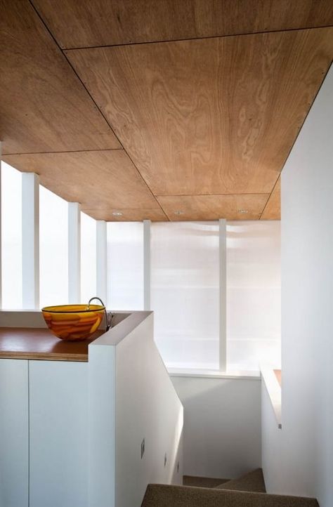 kitchen with concrete floor and natural wood ceiling - Ecosia Ply Ceiling, Plywood Ceiling, Plywood Design, Plywood Interior, Plywood Walls, Timber Ceiling, Timber Walls, Ply Wood, Modern Cabin