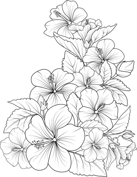 Hawaiian Flower Coloring Pages, Hibiscus Coloring Page, Hibiscus Flower Coloring Pages, Flower Background Drawing, Hibiscus Flower Outline, Hibiscus Flower Sketch, Hibiscus Flower Illustration, Hibiscus Flower Drawing, Floral Coloring Pages