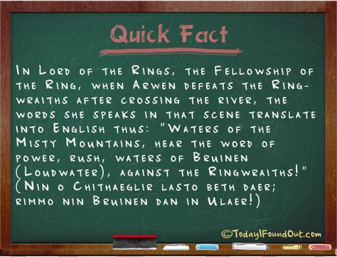 arwen-bruinen-spell Ginger Problems, Redhead Facts, Absence Seizures, Redhead Quotes, Red Hair Don't Care, Ted Bundy, Natural Redhead, Red Head, Sharks