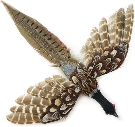 Amazon.com: Pheasant Feather Christmas Bird Ornament - Natural Xmas Decorations Fall Decor : Home & Kitchen Pheasant Feather Decor, Feather Project, Alternative Home Decor, Christmas Ornaments Crafts, Fall Decor Home, Holiday Window Display, Feather Bird, Pheasant Feather, Ornaments Crafts