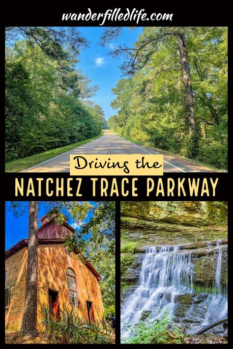 Natchez Trace State Park Tennessee, Natchez Trace Parkway Road Trips, Tennessee Living, 40 Anniversary, 50 States Travel, Natchez Ms, Visit Mississippi, Natchez Trace Parkway, Nashville Travel Guide