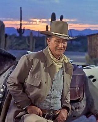 John Wayne “The Duke” Fans on Instagram: “What did fellow actors say about working alongside John Wayne?  Ron Howard: My most useful acting tip came from my pal John Wayne. ‘Talk…” John Wayne Quotes, Clint Walker, John Wayne Movies, Western Hero, Series Quotes, Ron Howard, The Lone Ranger, Tv Westerns, Actor John