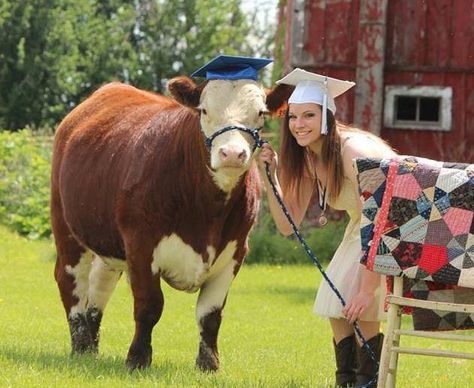 Ffa Graduation Pictures, Cow Photoshoot Picture Ideas, Ffa Senior Pictures Livestock, Ffa Pictures, Cowgirl Senior Pictures, Farm Senior Pictures, Senior Year Pictures, Cute Senior Pictures, Show Cows