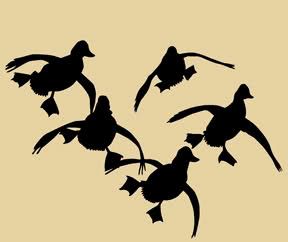 waterfowl tattoo designs | And... lets see ya'lls best duck mounts, I know some guys that get ... Duck Hunting Decals, Hunting Decal, Duck Tattoos, Hunting Tattoos, Goose Hunting, Hunting Design, Hunting Art, Duck Art, Silhouette Stencil