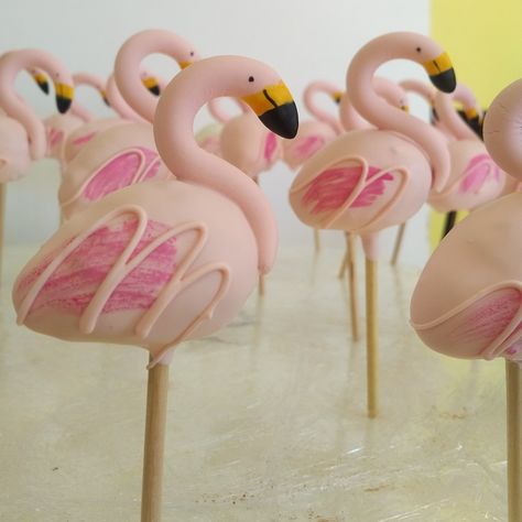 Flamingo Cake Pops, Flamingo Cakes, Pastel Desserts, Flamingo Cake, Jungle Birds, Flamingo Party, Special Occasion Cakes, Occasion Cakes, Cookie Cake