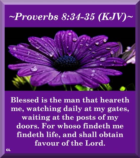 Judging Others Quotes, Proverbs Kjv, Bible Proverbs, Bible Kjv, Proverbs 8, King James Bible Verses, Bible Verses Kjv, Kjv Bible, Blessed Quotes