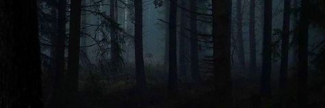 Dark Youtube Banner, Vk Banner, Werewolf Moodboard, Witchy Banner, Y2k Headers, Dark Academia Banner, Forest Banner, Head Twitter, Dark Header