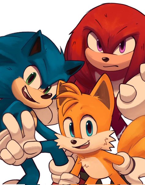 Animal Noses, Sonic Fanart, Sonic The Movie, Shadow Sonic, Sonic & Knuckles, Hedgehog Movie, Sonic Heroes, Sonic Funny, Sonic 3