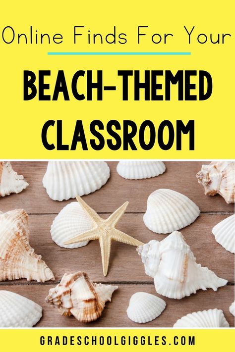 Tropical Beach Classroom Theme, Office Beach Theme, Coastal Calm Classroom, Beach School Theme, Coastal Theme Classroom, Boho Beach Classroom Decor, Beach Theme Classroom Ideas, Coastal Bulletin Board Ideas, Surf Classroom Theme