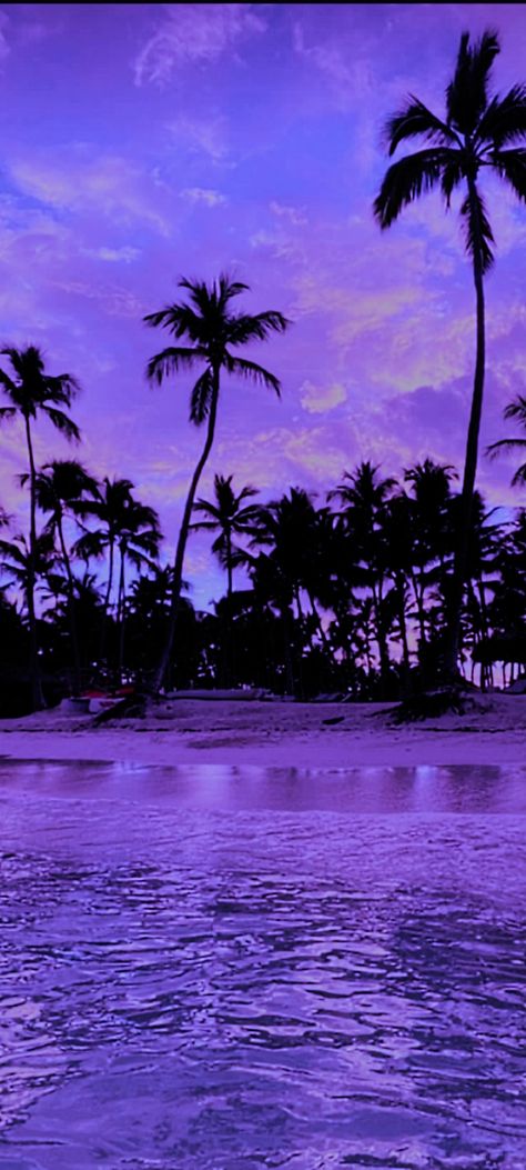 Purple Palm Trees, Palm Trees Wallpaper, Iphone Wallpaper Stills, Purple Art, Purple Sky, Boat Rental, Photos Of Women, Aesthetic Iphone, Aesthetic Iphone Wallpaper