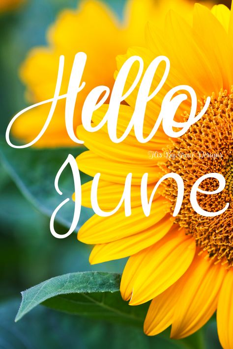 Hello June. 1st Day of June. June picture. Hello March Images, June Pictures, March Images, June Quotes, Welcome June, New Month Quotes, Hello Design, Happy June, Hello June