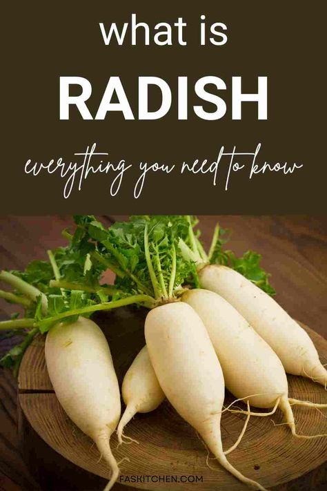 Radish 101: A comprehensive guide to the nutrition, benefits, usage, buying tips, and storage of radishes. Dive into the colorful world of these vibrant veggies! 🌱🥕 #Radish #HealthyChoices #FoodGuide Benefits Of Radishes, Red Veggies, Health Benefits Of Radishes, Delicious Veggies, Easy Reference, Healthy Choice, Nutrition Health, Root Vegetables, Radishes