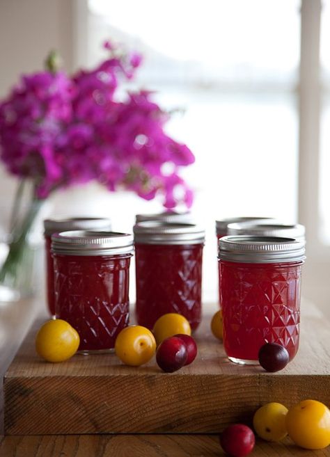 Recipe:  Wild Plum Jam   Recipes from The Kitchn  -  http://www.thekitchn.com/recipe-wild-plum-jam-recipes-from-the-kitchn-193220 Wild Plum Jam Recipe, Wild Plum Jam, Foraged Recipes, Homemade Jellies, Canning Plums, Plum Jam Recipes, Jam Making, Plum Trees, Wild Plum