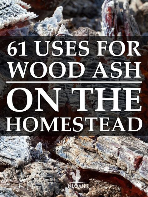 Wood Ashes Uses, Porch Wood Storage, Uses For Wood Ash, Wood Ash Uses, Wood Ash For Garden, Uses For Ashes, Diy Wood Stove, Acre Homestead, Homesteading Diy