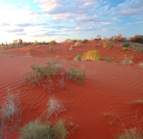 Simpson desert, australia outb. Simson desert is a very dry place in australia, , #Sponsored, #Simson, #dry, #place, #outb, #Simpson #ad Simpson Desert, Desert National Park, Desert Nature, Nature Tourism, Flyer Design Templates, New Guinea, Design Background, Scrapbooking Ideas, Iphone Background