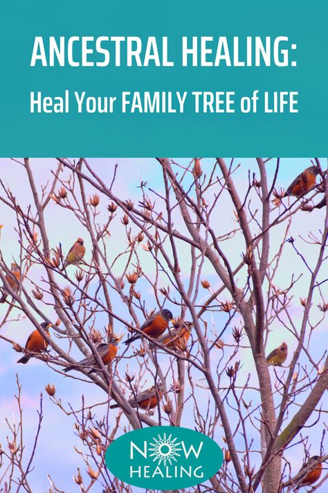 Family Karma Healing, Healing Ancestral Karma, Ancestral Living, Ancestral Work, Family Constellations, Family Healing, Ancestral Healing, Sacred Geometry Patterns, Spiritual Knowledge