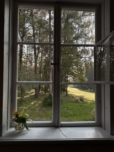 House In A Forest, Aesthetic Vase, Lovers Aesthetic, Fake Window, Forest Home, Cars Room, Forest View, Her Campus, Beautiful Windows