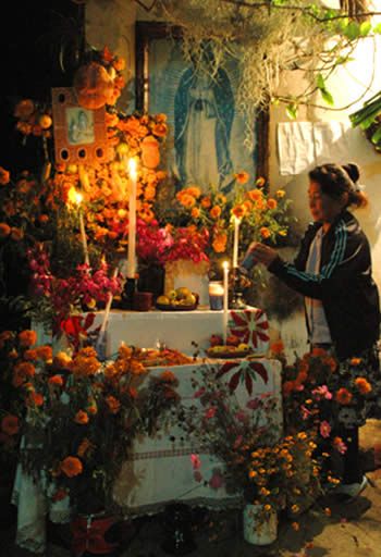 Woman decorating her home ofrenda in patzcuaro mexico for Day of The Dead Day Of The Dead Party, Saints Days, Brown Pride, Day Of The Dead Art, All Souls Day, Mexican Holiday, All Saints Day, November 1st, Home Altar