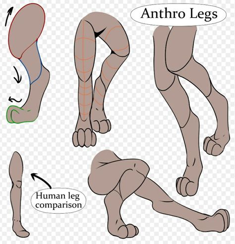 Cat Legs Drawing Reference, Anthro Cat Legs Reference, Sheep Fursona Base, Rabbit Legs Drawing, Anthro Body Base, Cat Legs Drawing, Paw Art Reference, Anthro Art Reference, Animal Legs On Human