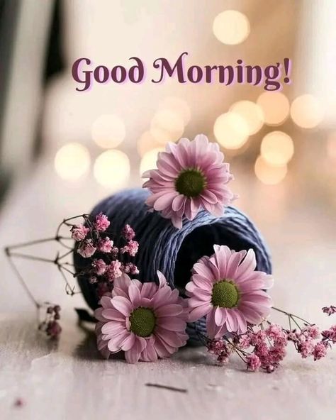 Good Morning Clips, Good Morning Sister Quotes, Lovely Good Morning Images, Good Morning Happy Monday, Good Morning Sister, Good Morning Happy Friday, Good Morning Roses, Good Morning Beautiful Flowers, Good Morning Beautiful Pictures