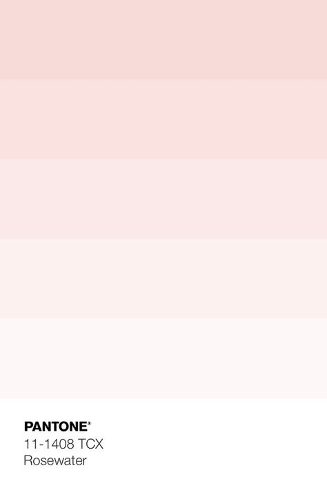 The delicate and neutral in tone PANTONE 12-4306 TCX Barely Blue & PANTONE 17-3911 TCX Silver Filigree are juxtaposed with mauve like quality of pinks: PANTONE 14-1508 TCX Silver Pink & PANTONE 11-1408 TCX Rosewater Color. · Pure Leaflets · Kid's Pattern Rose Pantone Color, Light Pink Pantone, Pale Pink Pantone, Pink Palettes Princess Aesthetic, Light Pink Pantone Colour Palettes, Mauve Walls, Beige Color Palette, Pantone Colour Palettes, Purple Color Palettes