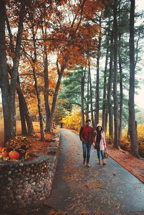 Sarah Vickers, James Patrick, Autumn Scenery, Fall Photoshoot, Autumn Beauty, Fall Pictures, Best Seasons, Autumn Aesthetic, On The Ground