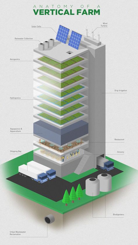 Vertical Farming Architecture, Farming Infographic, Farming Architecture, Urban Farming Architecture, Sustainable Farm, Smart Farm, Farming Technology, Indoor Farming, Modern Agriculture