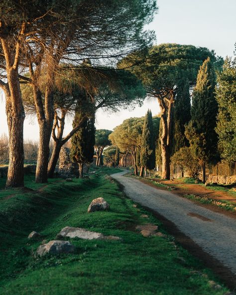 The Appian way also called Regina Viarum as of yesterday it’s offically a UNESCO World Heritage Site. The centuries-old road par excellenxce, since the days of the Roman Empire has been very important for commercial, economic and military aspects. Today walking along it gives an immersion through its unique combination, a balance between history and nature. This is one of my long term personal projects that I’ve started a few years ago documenting across the entire Appia Antica regional park,... Park Activities, Appian Way, The Roman Empire, Unesco World Heritage, Unesco World Heritage Site, Roman Empire, Heritage Site, World Heritage, Tree House